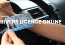 Buy Genuine Drivers License Online logo
